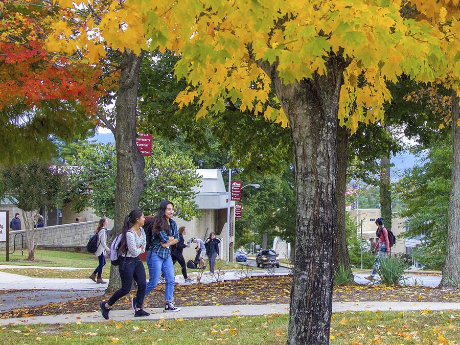 Student walking beneath autumn trees