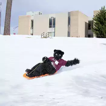 A-B Tech Simpson Snow Trailblazer Bear Sledding