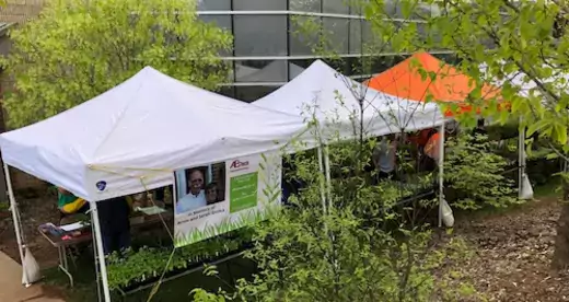Tent at the plant sale