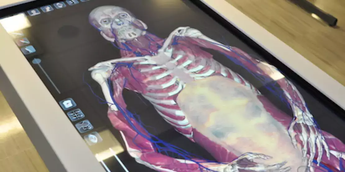 Anatomy table with digital body