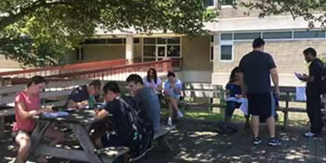 Students working on calculus problems on the Beech Tree Deck