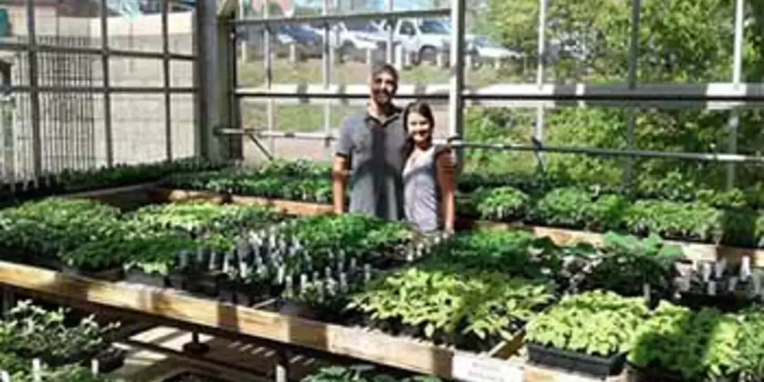 Two people standing in a greenhouse