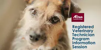 Registered Veterinary Technician Program Information Session